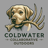 Coldwater Collaborative