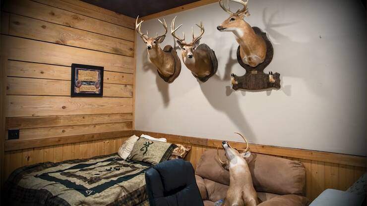 Kudzu Bluff lodge and property