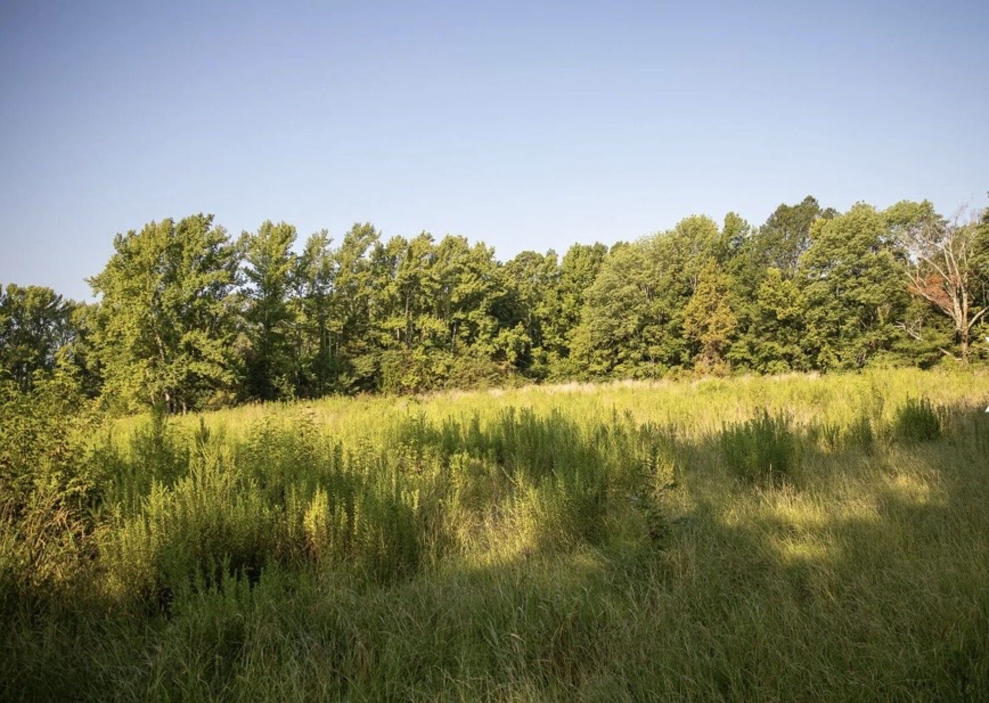Corporate & Group Hunting Retreats