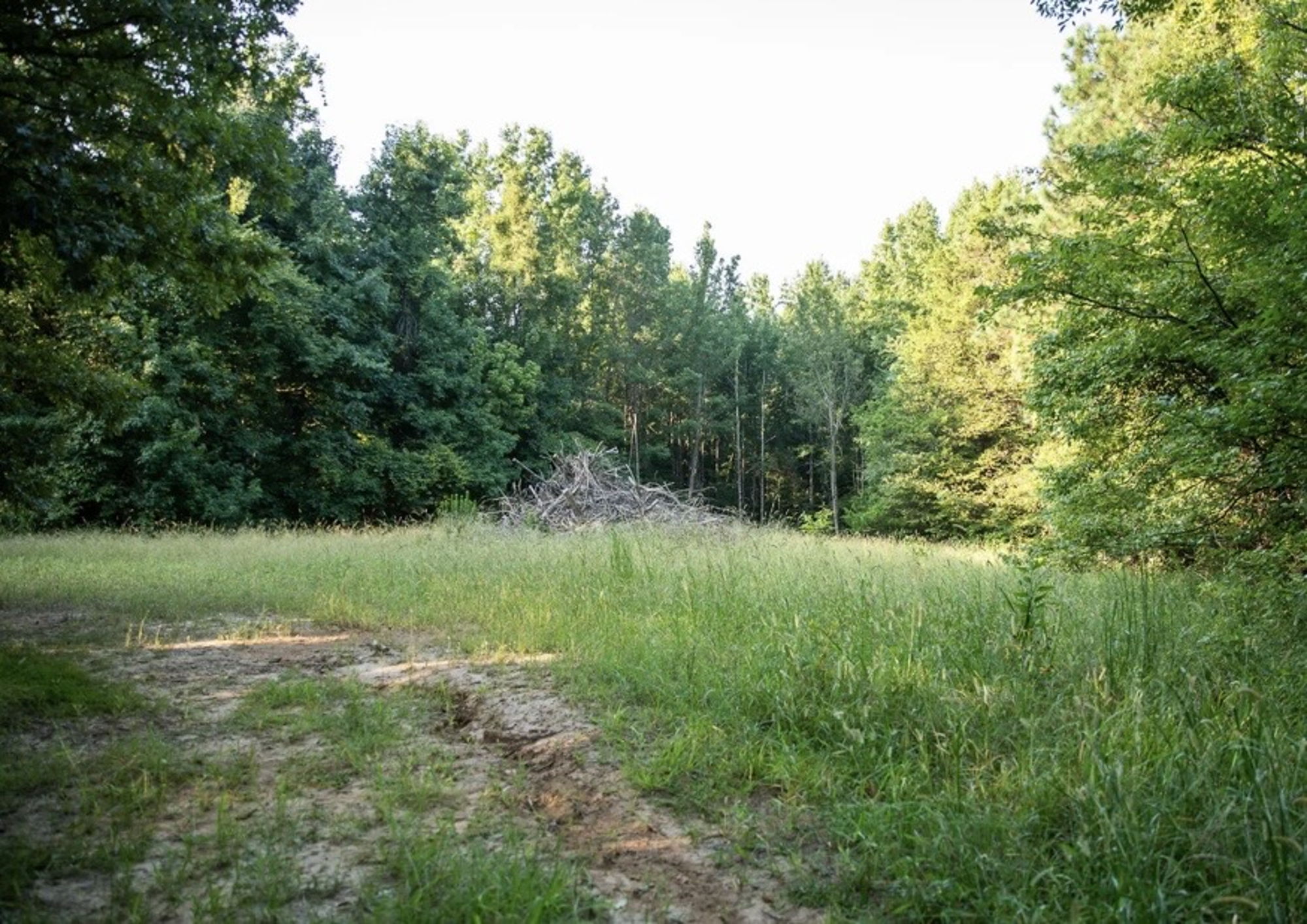 Mississippi Predator Hunt