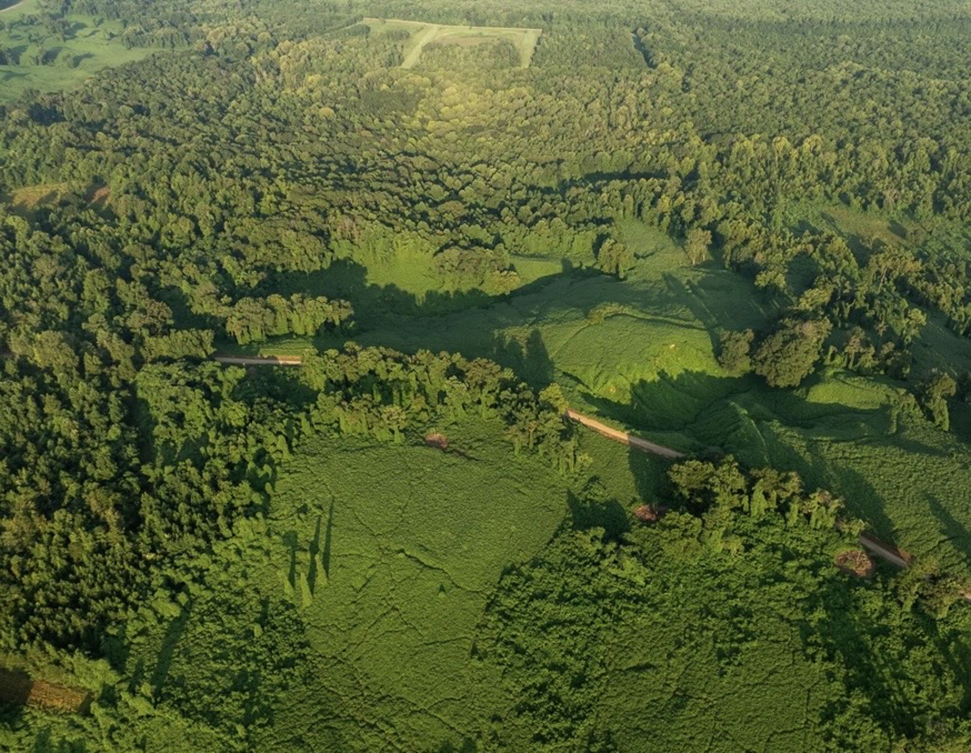 The Kudzu Bluff property overlooking the Mississippi Delta
